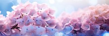 Pink Hydrangea On Right Side, Isolated On Magical Bokeh Background With Text Space On Left