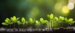 blurred bokeh background with green leaves for text   ecology and healthy environment concept