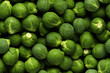 brussel sprouts background wall texture pattern seamless