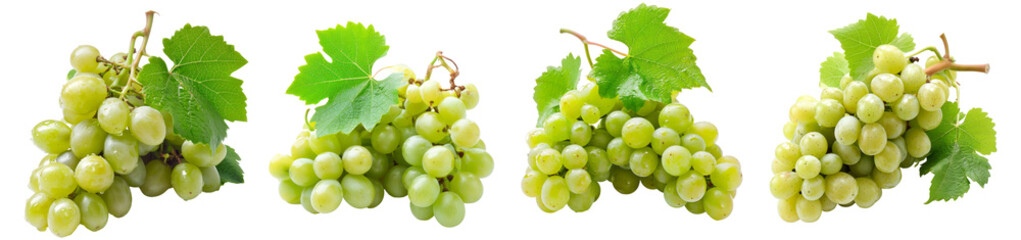 Wall Mural - a collection of green grapes isolated on a transparent background
