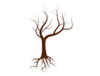 Dead Tree with no Leaves or Leafless Tree. Vector Illustration Isolated on White Background.
