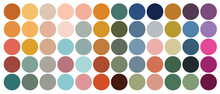 Shades Of Bohemian Color Palette. Suitable For Branding, Interior, Fashion And Invitation Card.