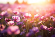 Flower field in sunlight, spring or summer garden background in closeup macro. Flowers meadow field