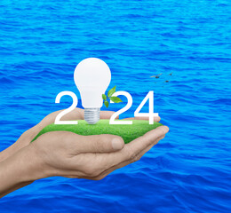 2024 white text and led light bulb with fresh leaves on green grass in hands over blue sea with birds, Happy new year 2024 green ecology and saving energy concept