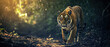 a tiger in the jungle wallpaper, wildlife photo, with empty copy space