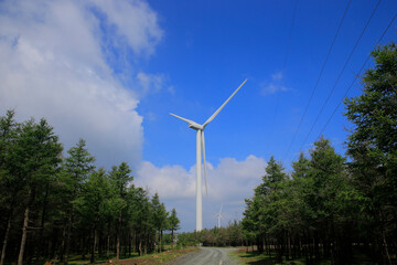 Wall Mural - Wind turbines for electric power production