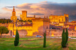 Avignon, Provence, France. Sunset golden hour with Rhone River and medieval city downtown.