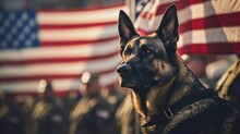 Expansive View Capturing The Solemnity Of Veterans Day With A Military Man And Service German Shepherd, The US Flag Forming A Powerful Background.