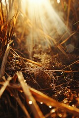Aufkleber - A detailed view of the ground covered in grass. Suitable for nature, outdoor, and gardening themes