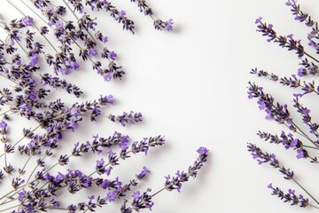 Aufkleber - A beautiful bunch of purple flowers placed on a clean white surface. This image can be used to add a pop of color to any design or to symbolize beauty and nature