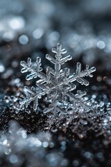 Poster - A detailed close-up of a snowflake on a smooth black surface. Perfect for winter-themed designs and holiday projects