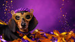 A dachshund dog wearing carnival venecian mask at party  with confetti and strams over purple background with copy space