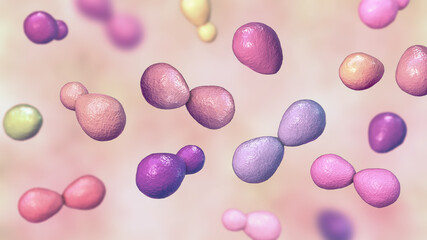 Wall Mural - Histoplasma capsulatum yeasts, 3D illustration