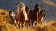 Wild Horses Running in Golden Light