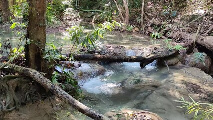 Wall Mural - beautiful waterfall in the jungle