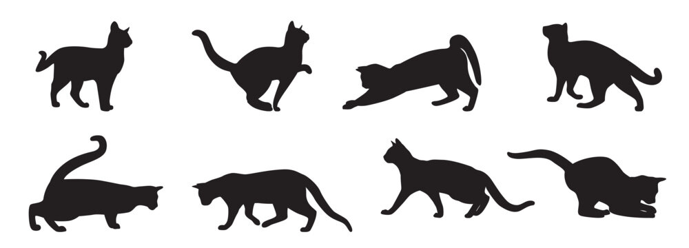 cat silhouette collection. set of black cat silhouette. kitten silhouette collection. cat silhouette