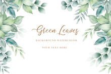 Beautiful Green Leaves Background Watercolor