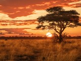 Fototapeta Sawanna - sunset in the savannah