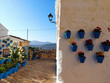 Small street in Andalusia, Spain, full of blue flower pots