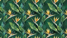 Strelitzia Flowers Seamless Pattern Tropical Background Luxury Wallpaper Exotic Green Leaves Hummingbird Watercolor Dark Vintage 3d Illustration Premium Mural Tapestry Cloth Printing Paper