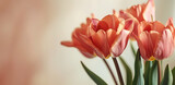 Fototapeta Tulipany - Pink tulip flowers on pastel bokeh background. Image for a wedding, women's day or mother's day themed greeting card or invitation. Banner with space for text