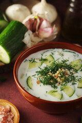 Wall Mural - A bowl with Tarator cold soup - traditional Bulgarian dish