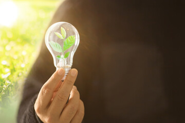 Environmental protection, renewable, sustainable energy sources. Plant growing in the bulb concep. ESG icon concept. environmental, social and governance in sustainable. light bulb with a growing tree