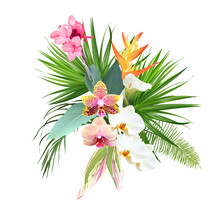 Pink Canna Flower, White And Striped Orchid, Calla Lily, Yellow Bird Of Paradise, Tropical Leaves Design Vector Bouquet