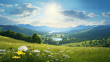 Fototapeta Natura - Summer sunshine bathes a rural flower meadow,  surrounded by rolling hills in this detailed illustration