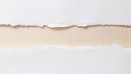 Poster - two strips of white torn paper as a background