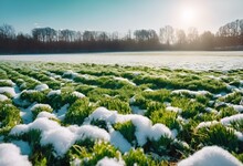 AI Generated Illustration Of A Wintertime Landscape Featuring A Snow-covered Field