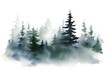 © Prasanth - Watercolor foggy forest landscape illustration. Wild nature in wintertime. Abstract graphic isolated on transparent background