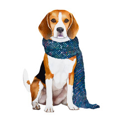 cute beagle dog wearing scarf, graphic resources with transparent background, animal watercolor drawing