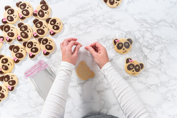 Wall Mural - Panda shaped shortbread cookies with chocolate icing