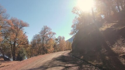 Wall Mural - Traveling in Patagonia. Point of view of a car driving along the road in the mountain forest at sunset. View of the trees in autumn and the hiding sun creates a lens flare. 