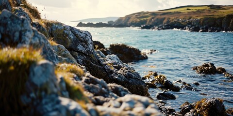 Aufkleber - A bird is perched on a rock by the water. This image can be used to depict tranquility and nature