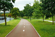View Of City Park With Bicycle Lane And Trees