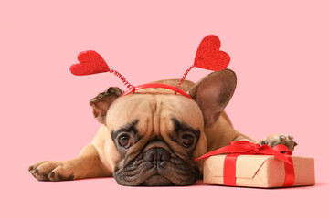 Wall Mural - Cute French bulldog in hairband with hearts and gift box on pink background. Valentine's Day celebration