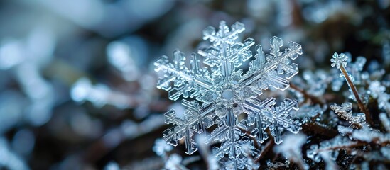 Poster - Macro photograph of a genuine snowflake.