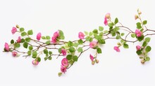Green Vine Plant With Dried Pink Flowers Isolated On White Background Isolated On White Background,. Created Using Generative AI Technology
