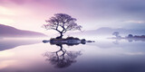 Fototapeta  - Solitary lavender tree stands on a misty islet, its reflection perfectly mirrored in the tranquil lake beneath