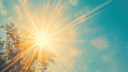 sun shining through treetops with lens flare
