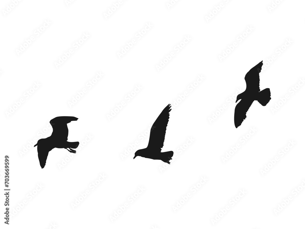 flying seagull silhouettes set. A flock of flying birds. Flight bird ...