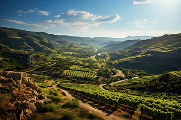 Poster - Beautiful landscape of Vineyards in European region in summer season comeliness, Beautiful vineyards with blue sky and old house. Generative AI