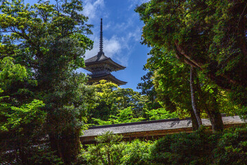 Wall Mural - 妙成寺