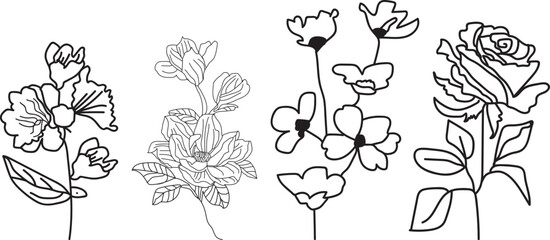 Botanical floral sets with rose, leaf and more vector drawing illustration.