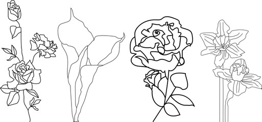 botanical floral sets with rose, leaf and more vector drawing illustration.