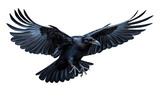 crow in flight isolated on transparent background cutout