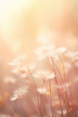 Wall Mural - Meadow with wild flowers in the sunny summer day.Soft pastel background 