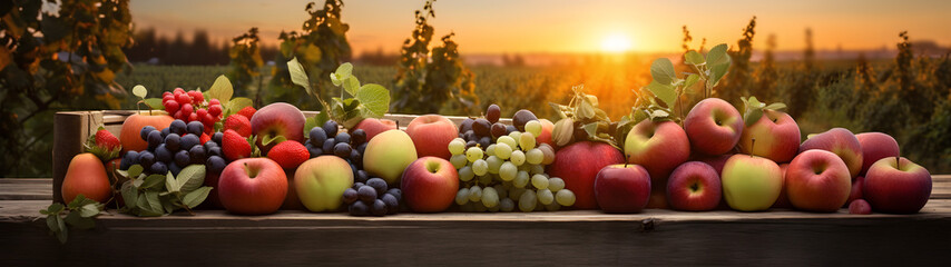 Wall Mural - Various kinds of fruits harvested in a wooden box in an orchard with sunset. Natural organic fruit abundance. Agriculture, healthy and natural food concept. Horizontal composition, banner.